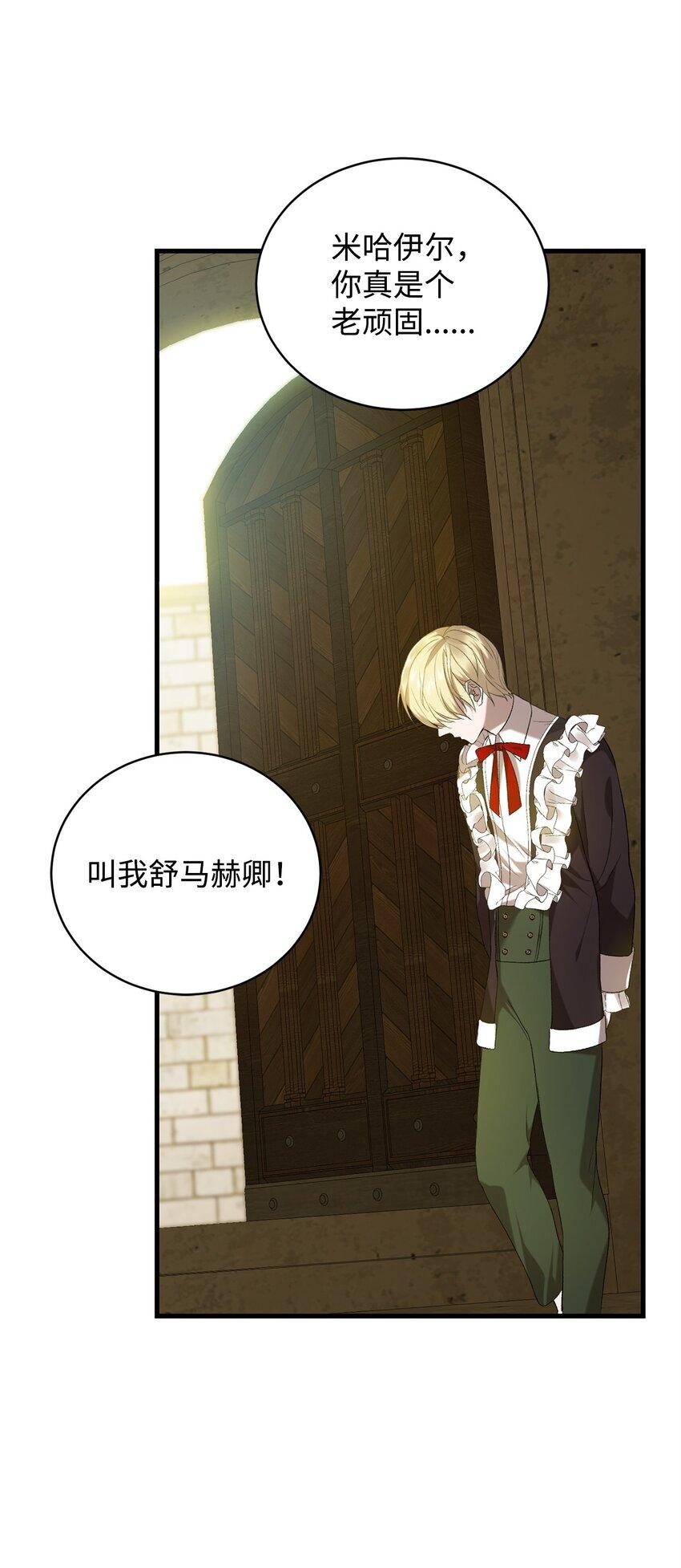 炮灰骑士今天也想守护病弱公爵11 公爵府的秘密
