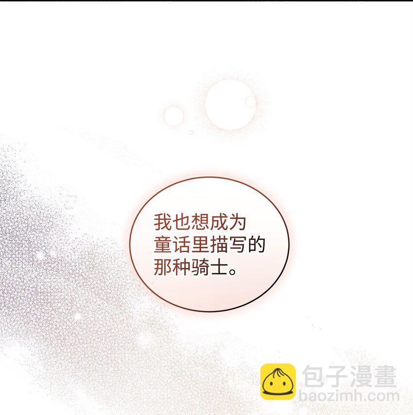 炮灰骑士今天也想守护病弱公爵11 公爵府的秘密