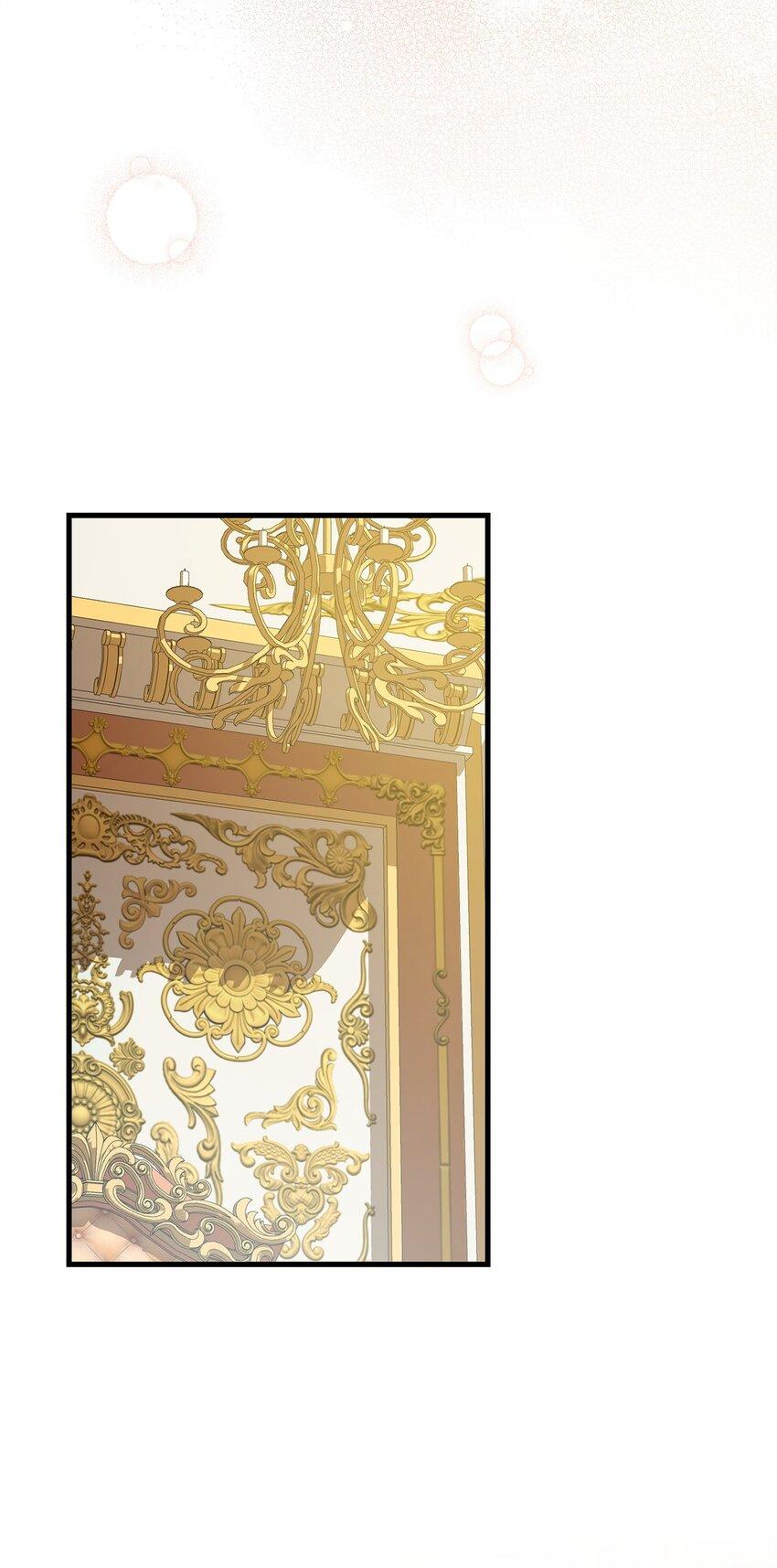 炮灰骑士今天也想守护病弱公爵11 公爵府的秘密