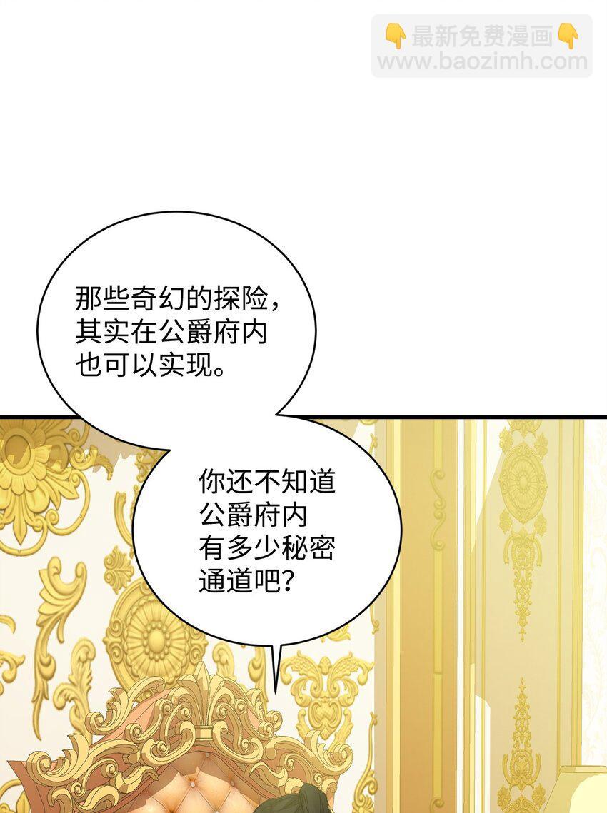 炮灰骑士今天也想守护病弱公爵11 公爵府的秘密