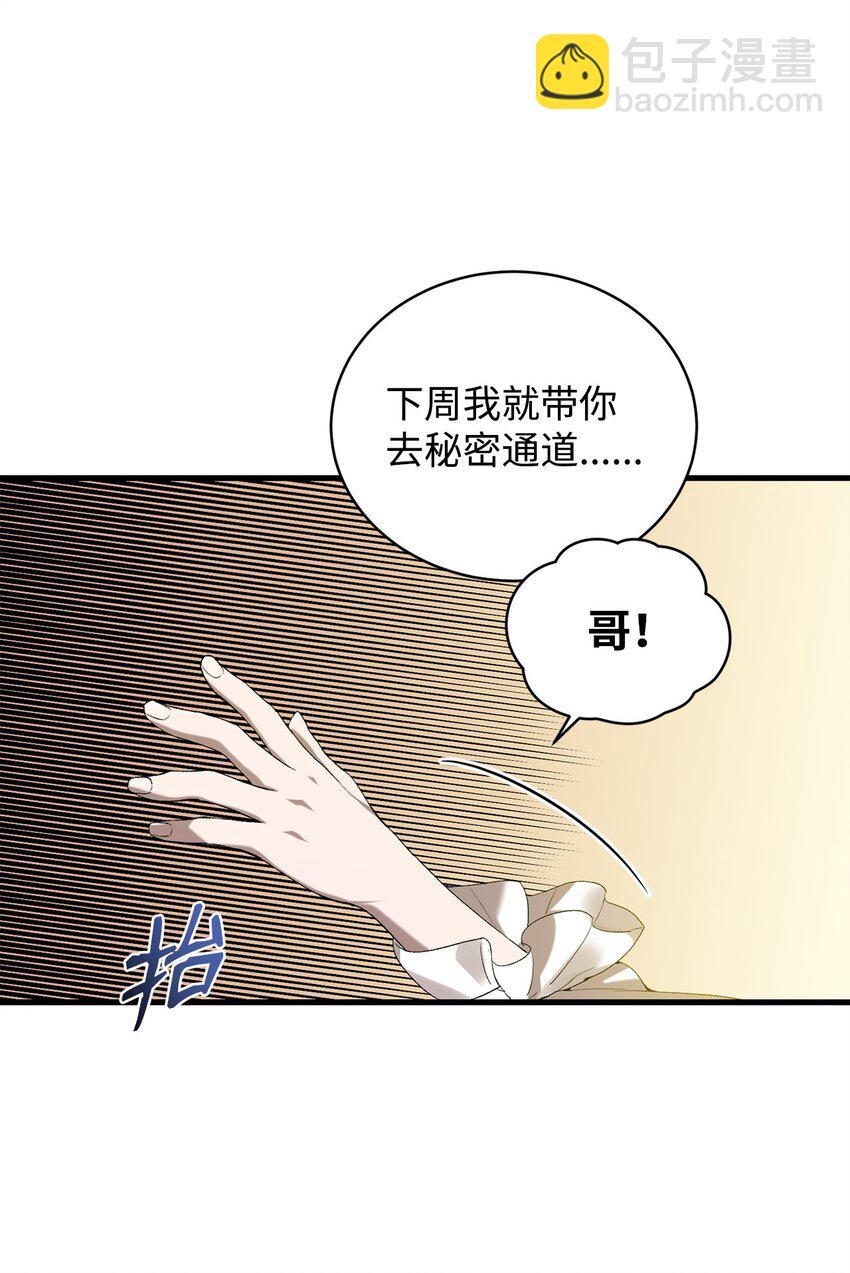 炮灰骑士今天也想守护病弱公爵11 公爵府的秘密