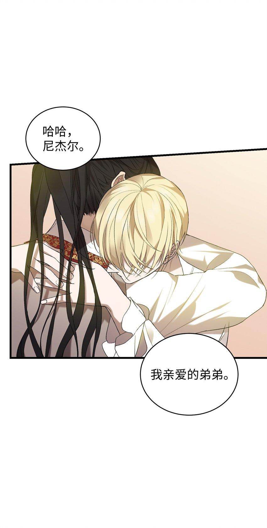 炮灰骑士今天也想守护病弱公爵11 公爵府的秘密