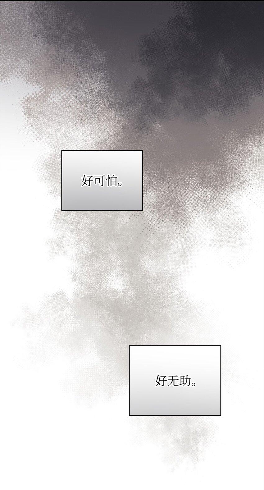 炮灰骑士今天也想守护病弱公爵11 公爵府的秘密