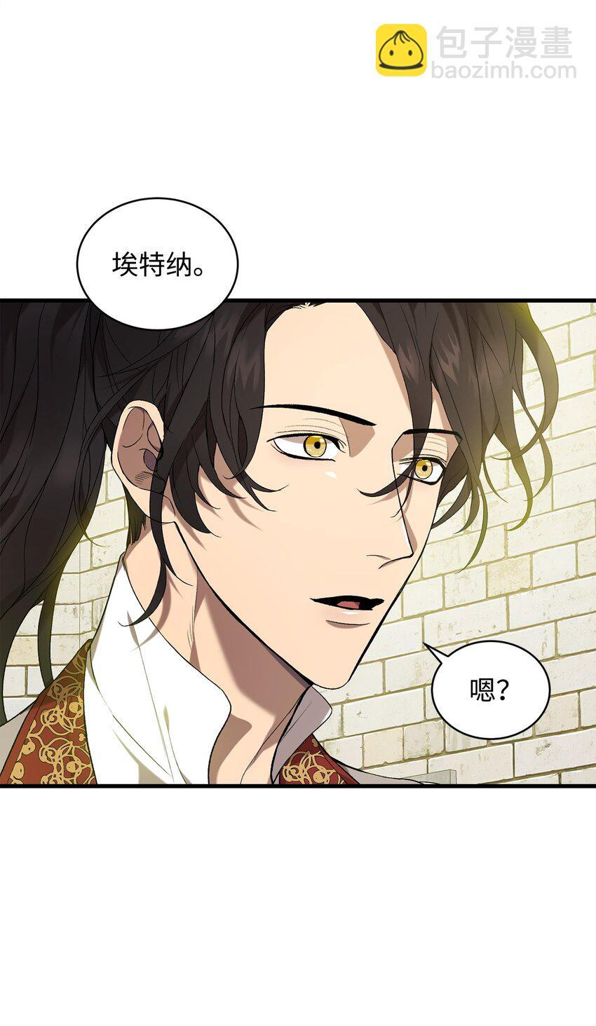 炮灰骑士今天也想守护病弱公爵11 公爵府的秘密