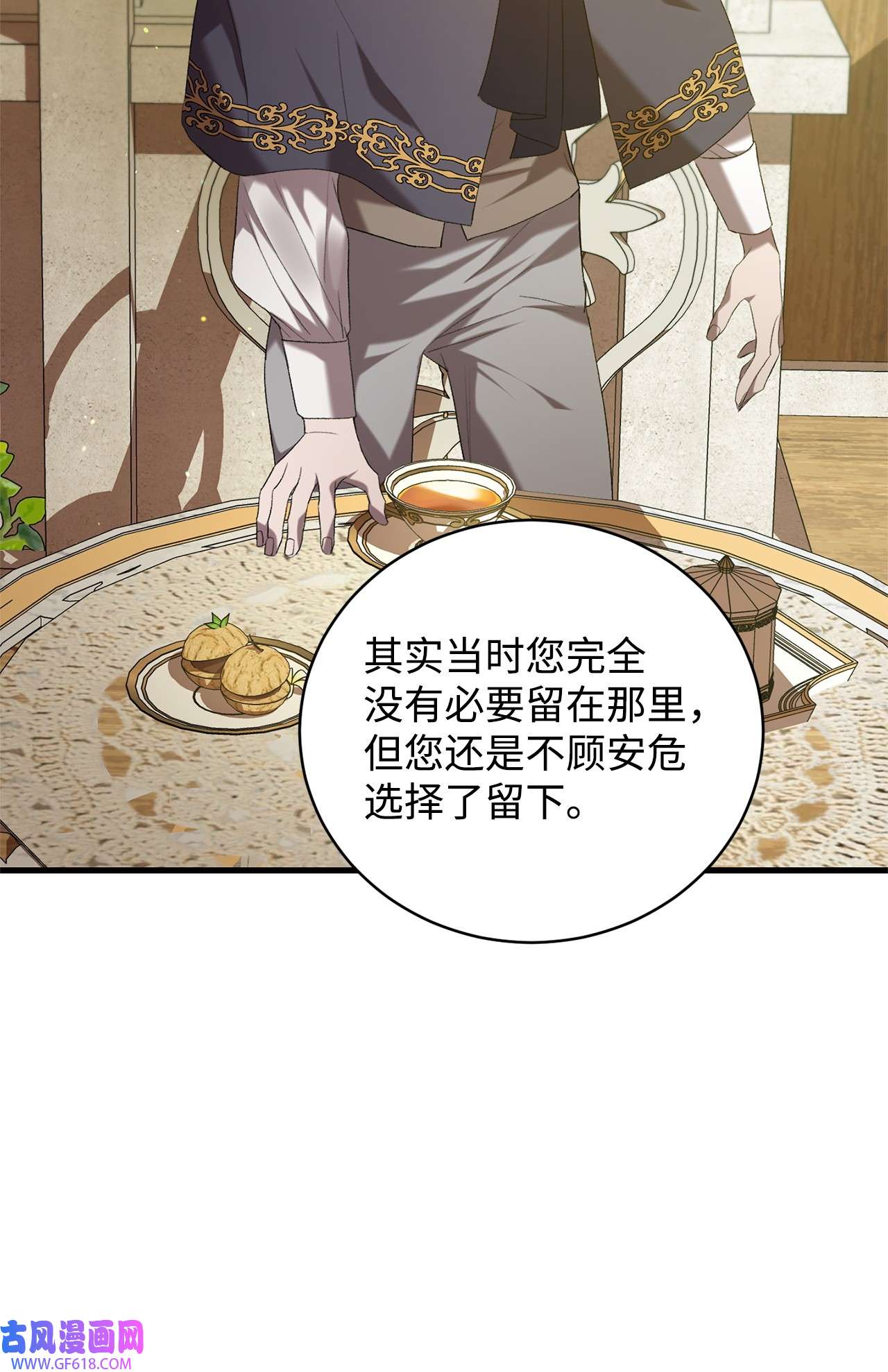 炮灰骑士今天也想守护病弱公爵14 故友