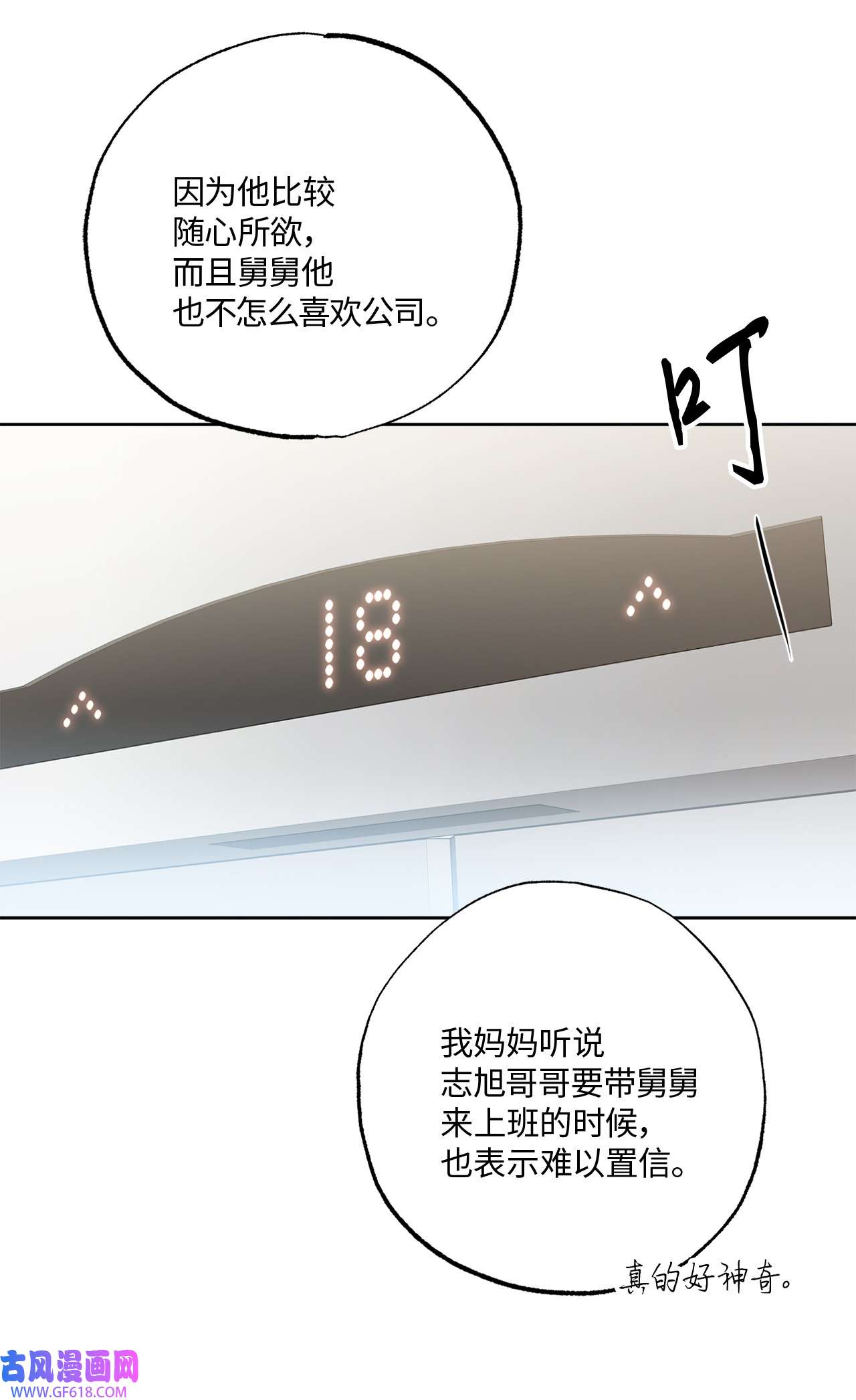 轻易察觉22 张楚莹