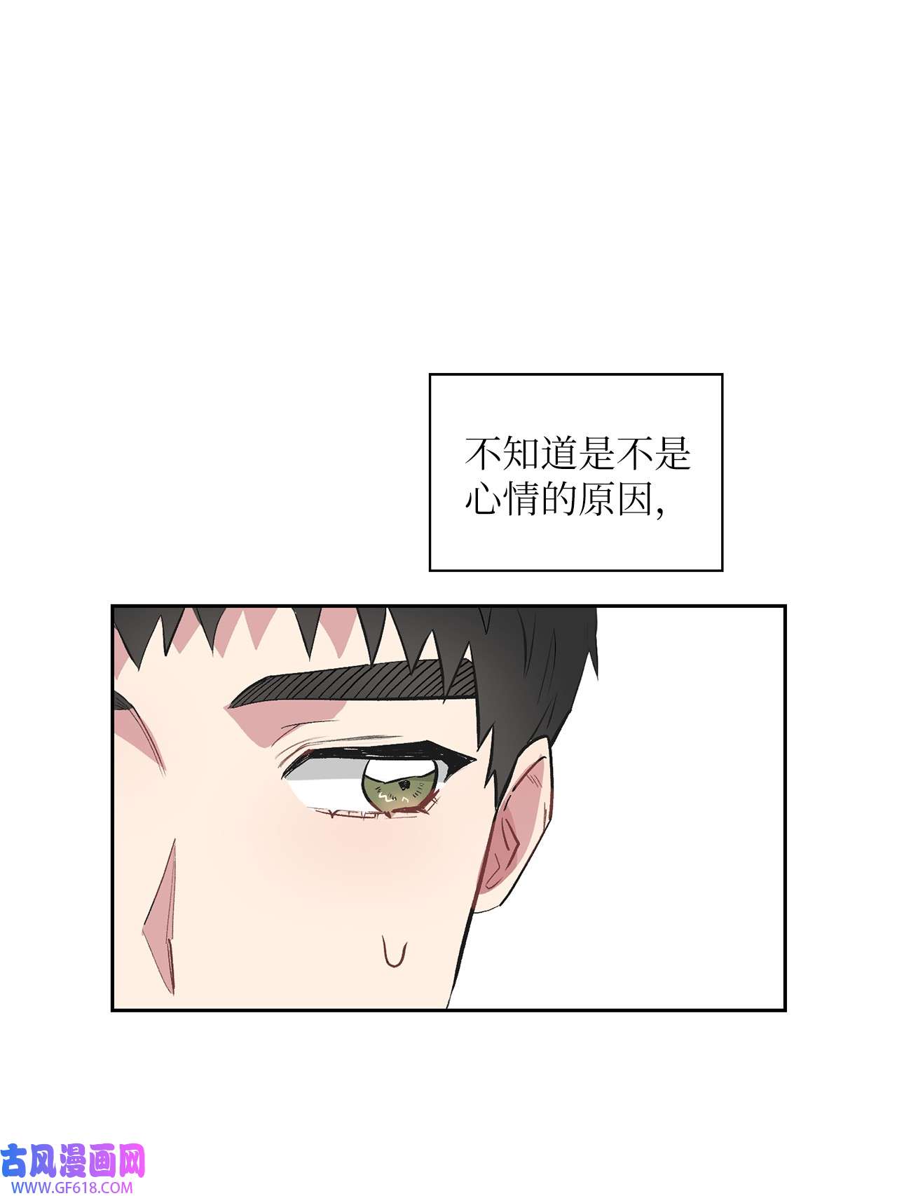 雨滴12 发现名片