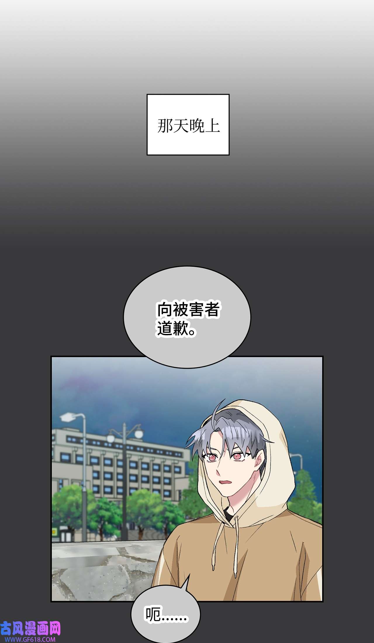 雨滴24 小灰灰出没