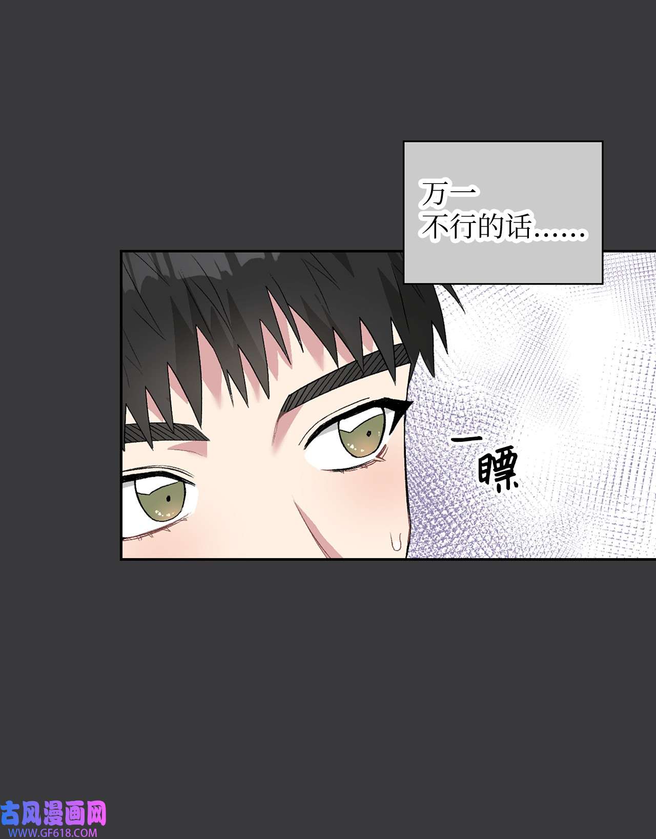 雨滴24 小灰灰出没