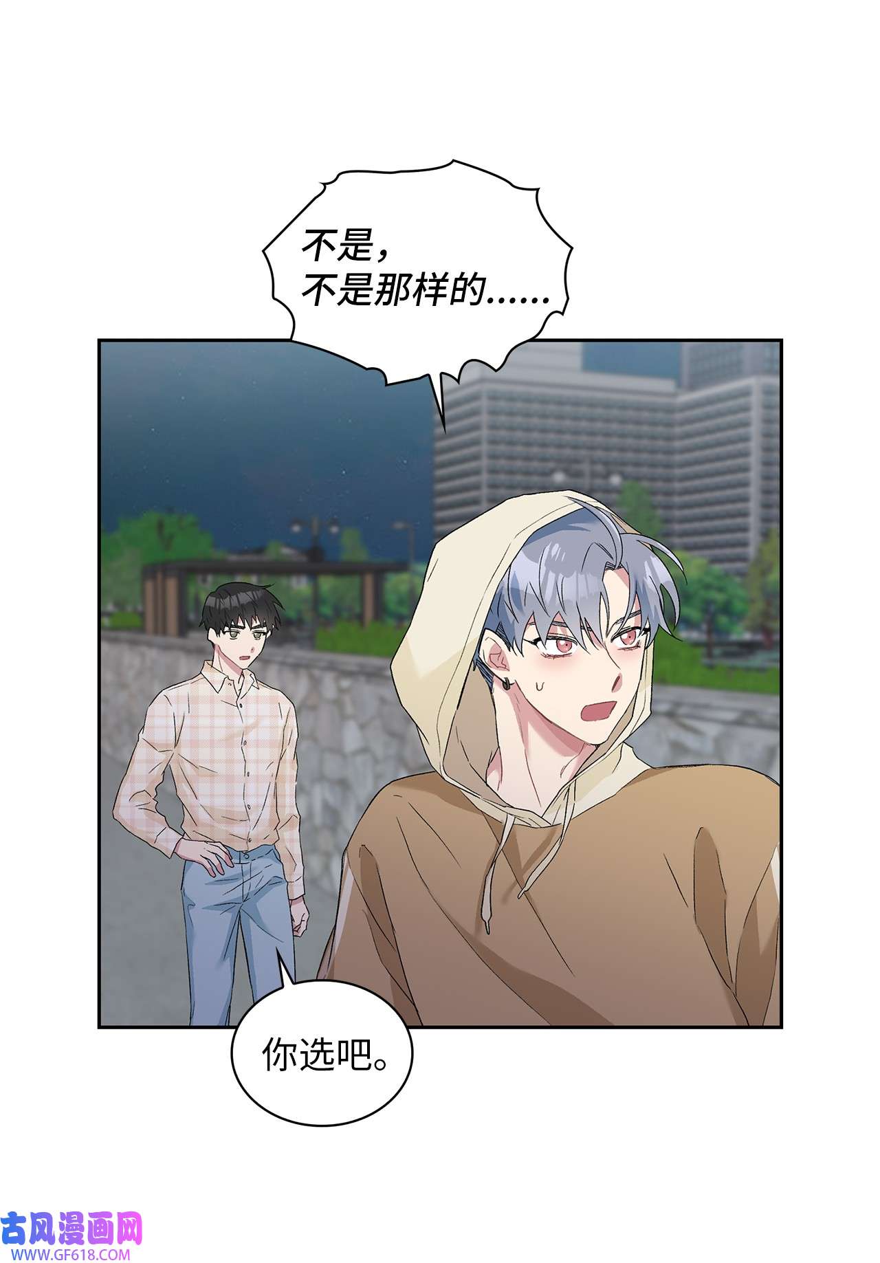 雨滴24 小灰灰出没