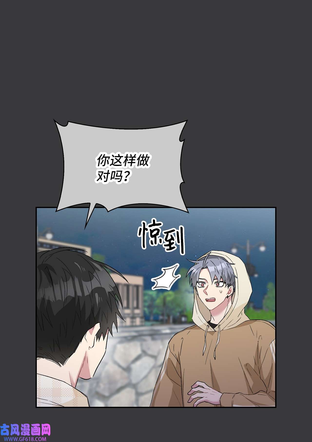 雨滴24 小灰灰出没