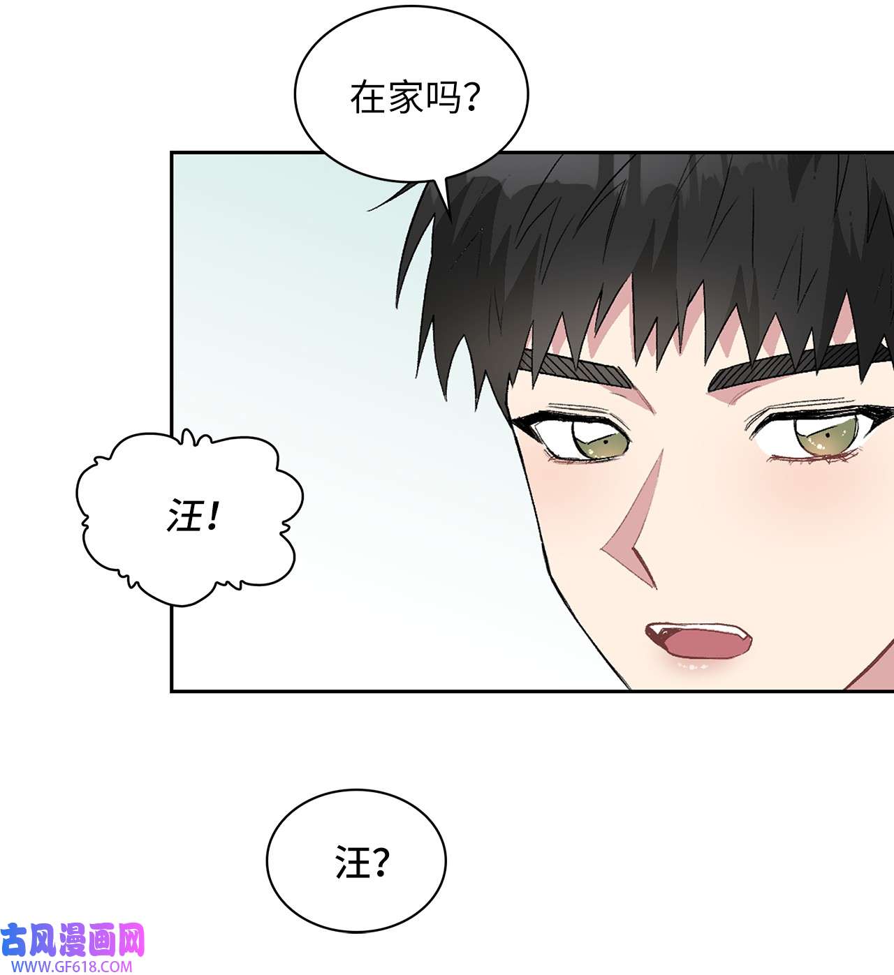 雨滴24 小灰灰出没