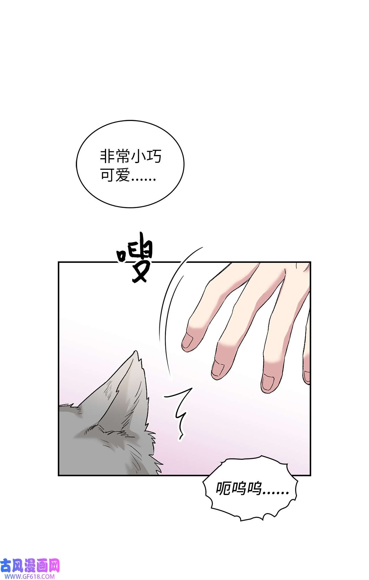 雨滴24 小灰灰出没