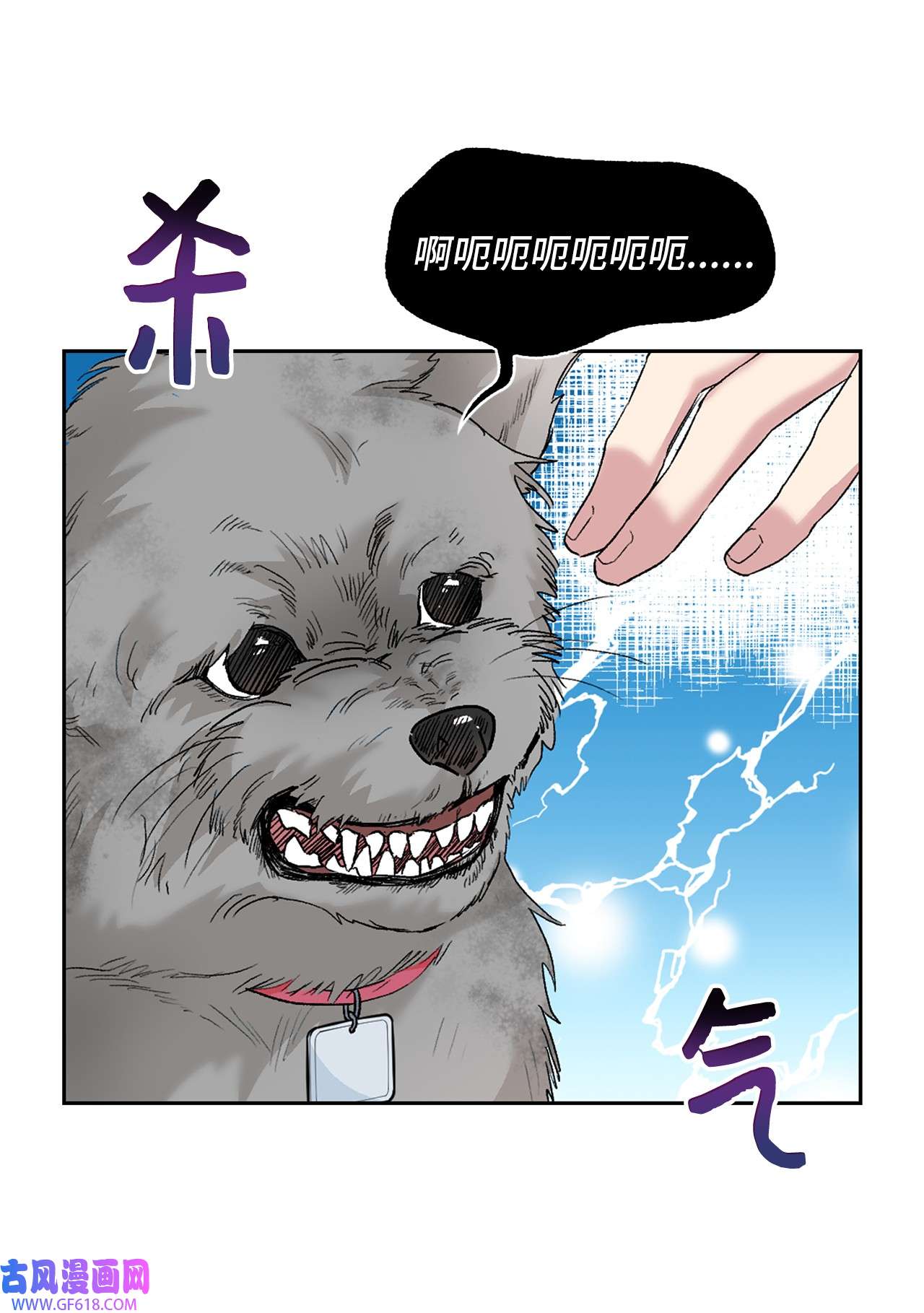 雨滴24 小灰灰出没
