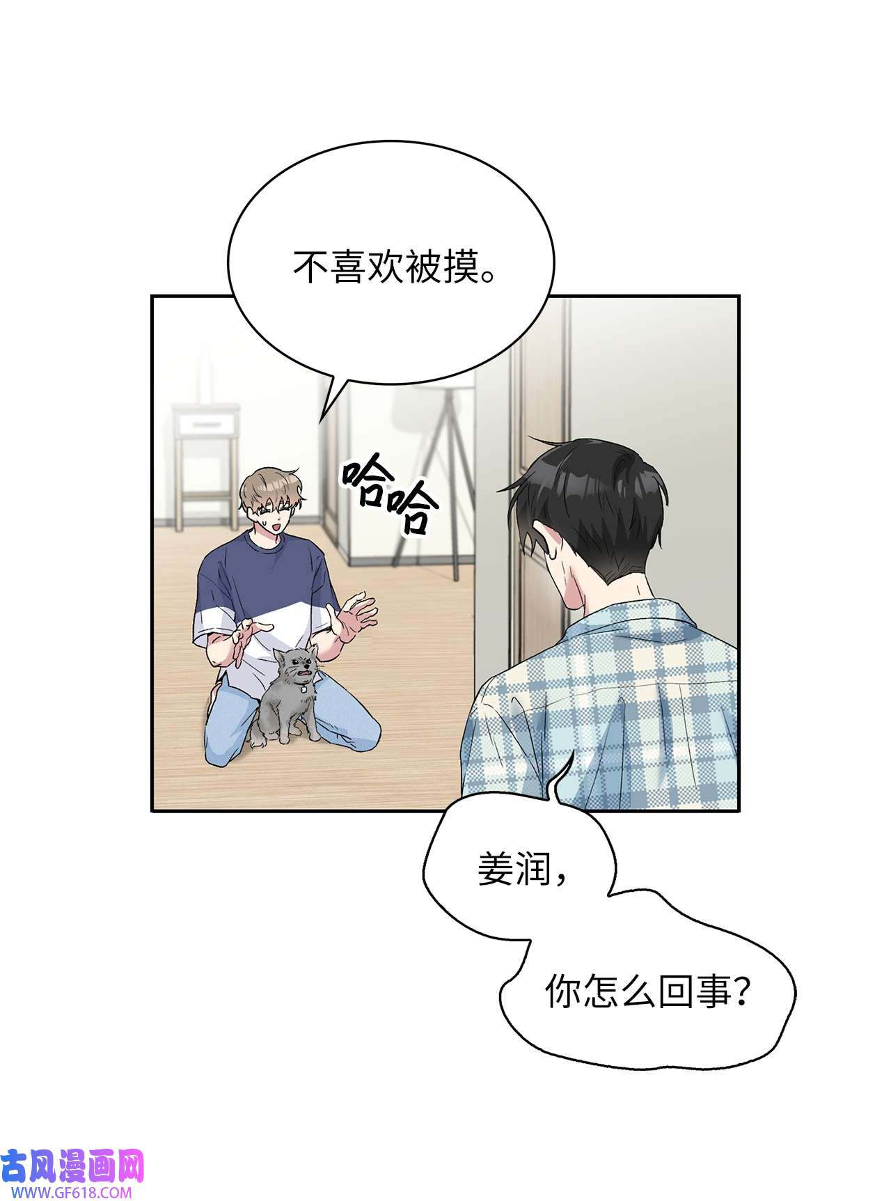 雨滴24 小灰灰出没
