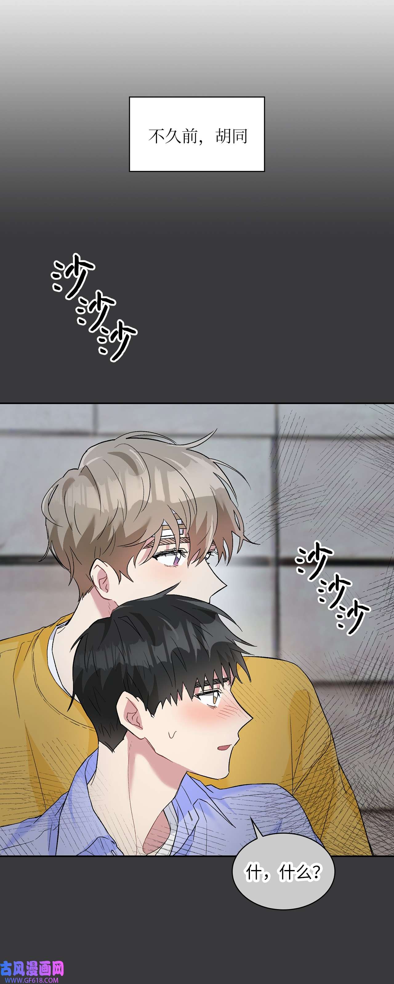 雨滴24 小灰灰出没