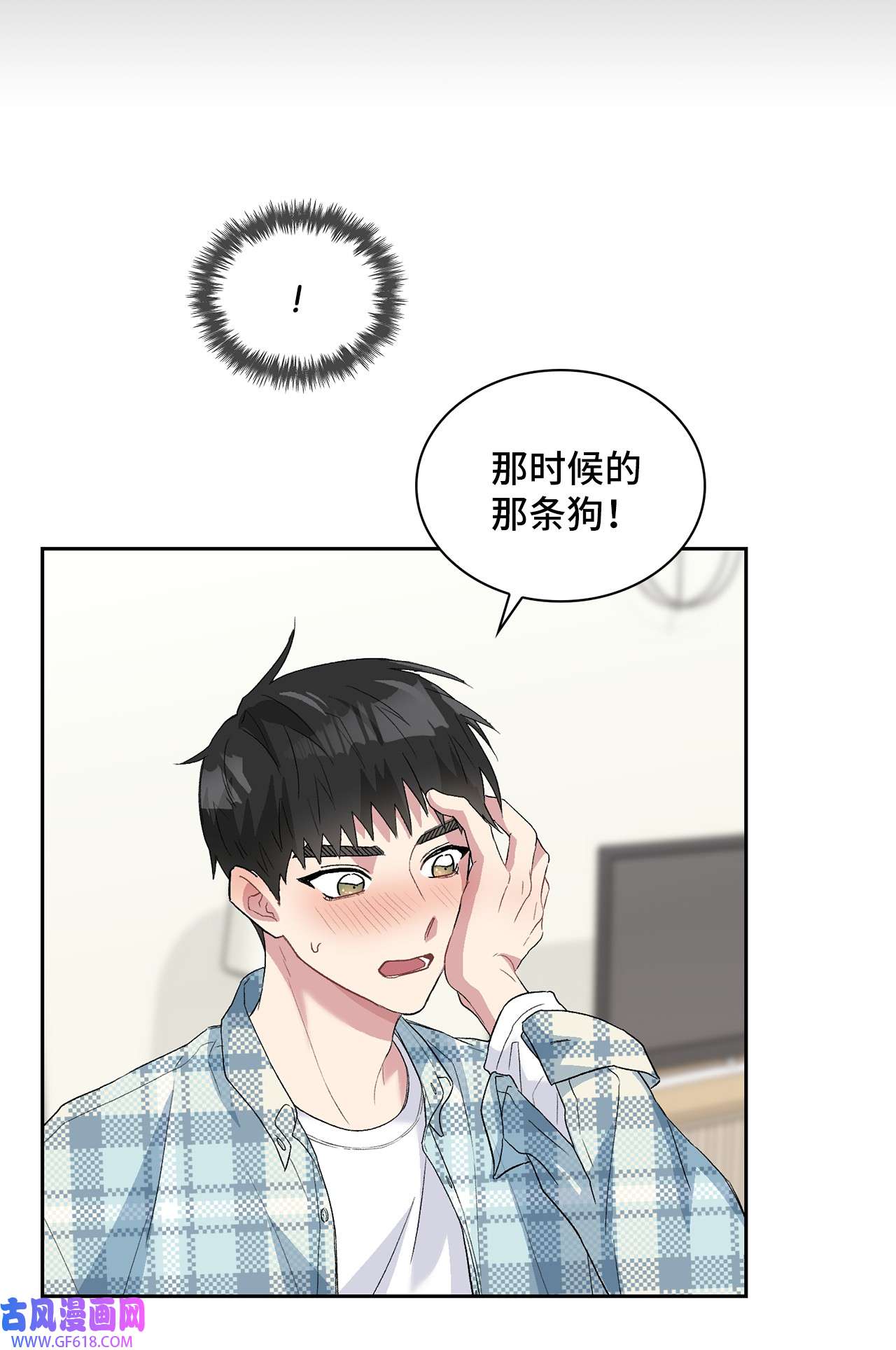雨滴24 小灰灰出没