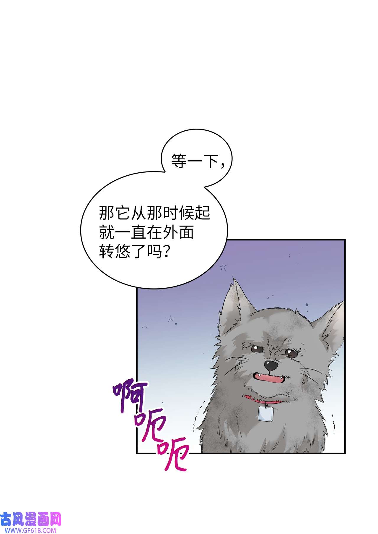 雨滴24 小灰灰出没