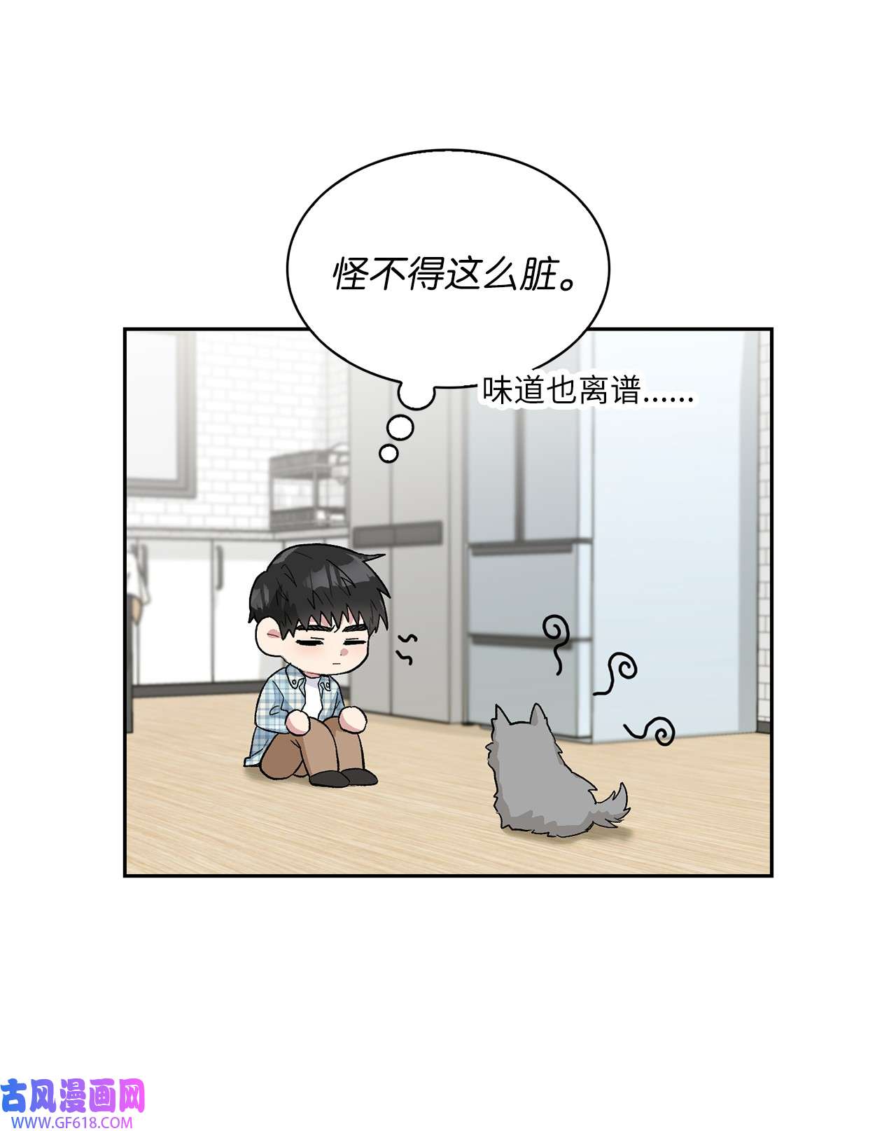 雨滴24 小灰灰出没