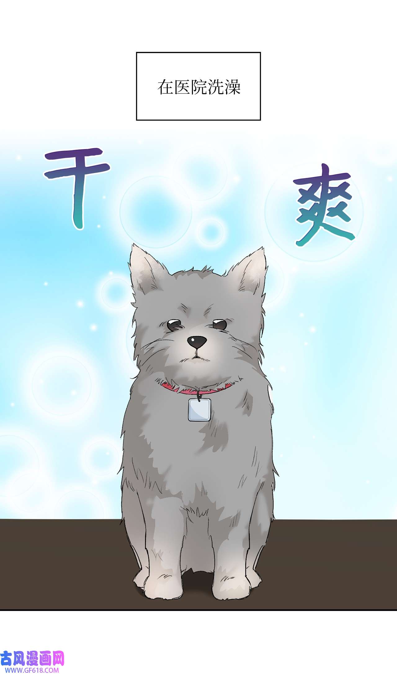雨滴24 小灰灰出没