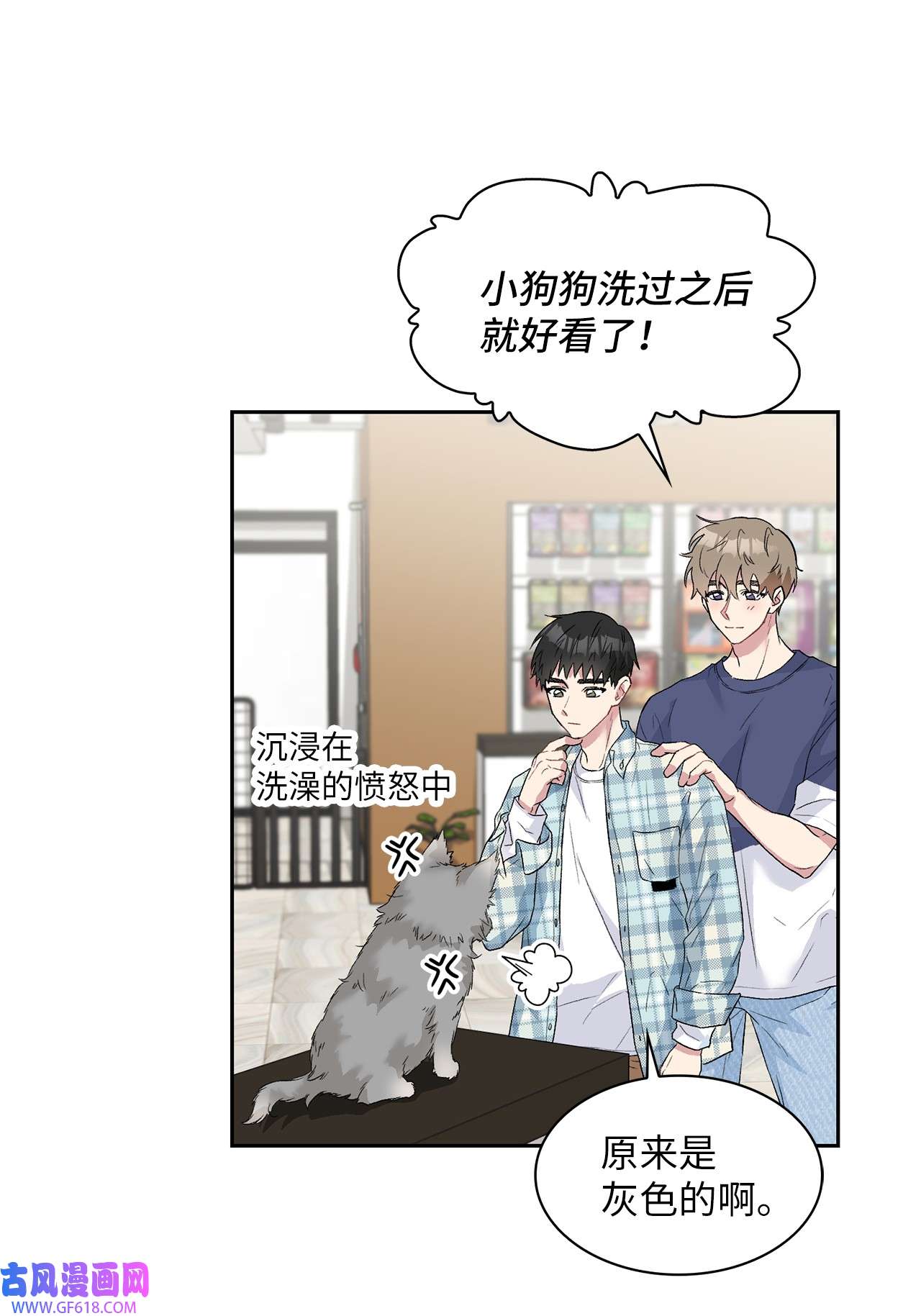 雨滴24 小灰灰出没