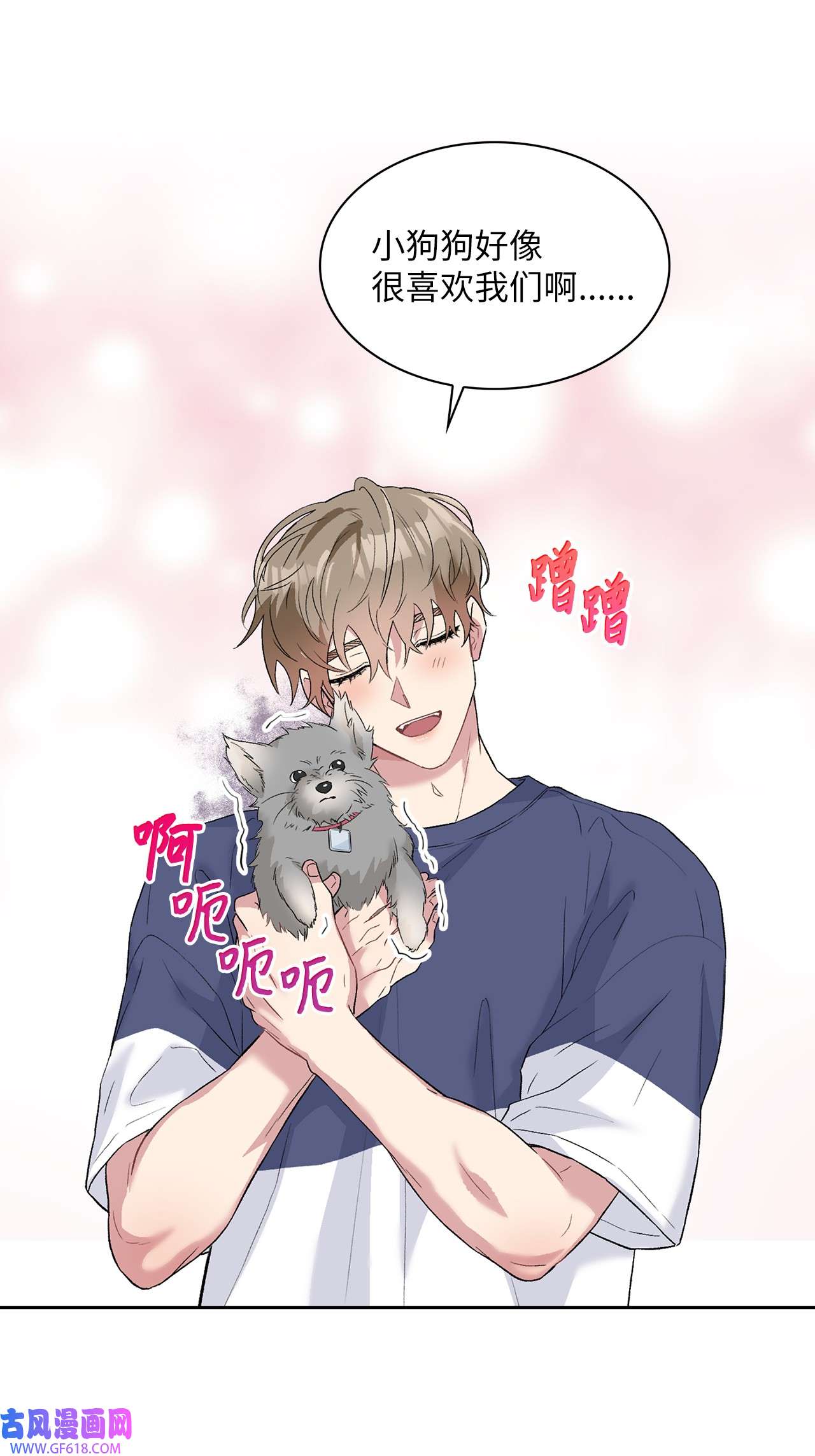 雨滴24 小灰灰出没