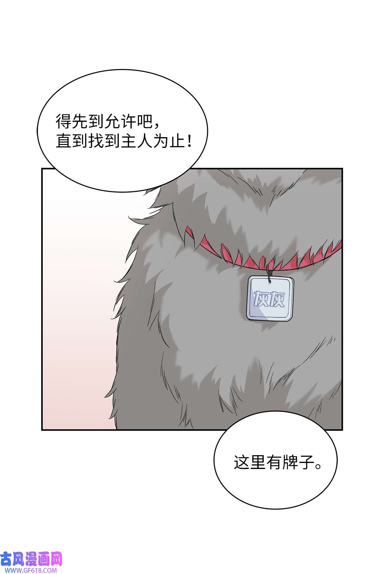 雨滴24 小灰灰出没