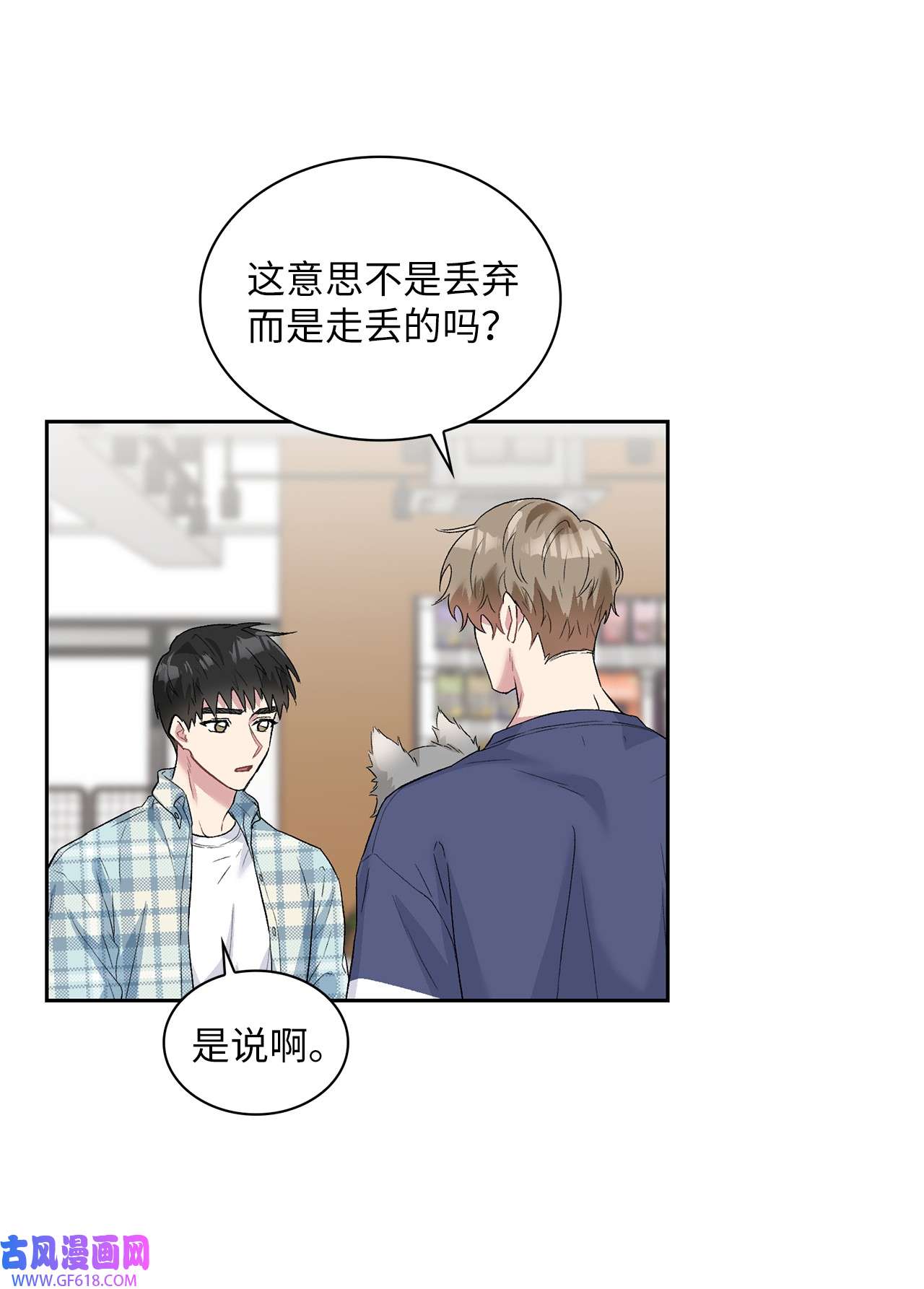 雨滴24 小灰灰出没