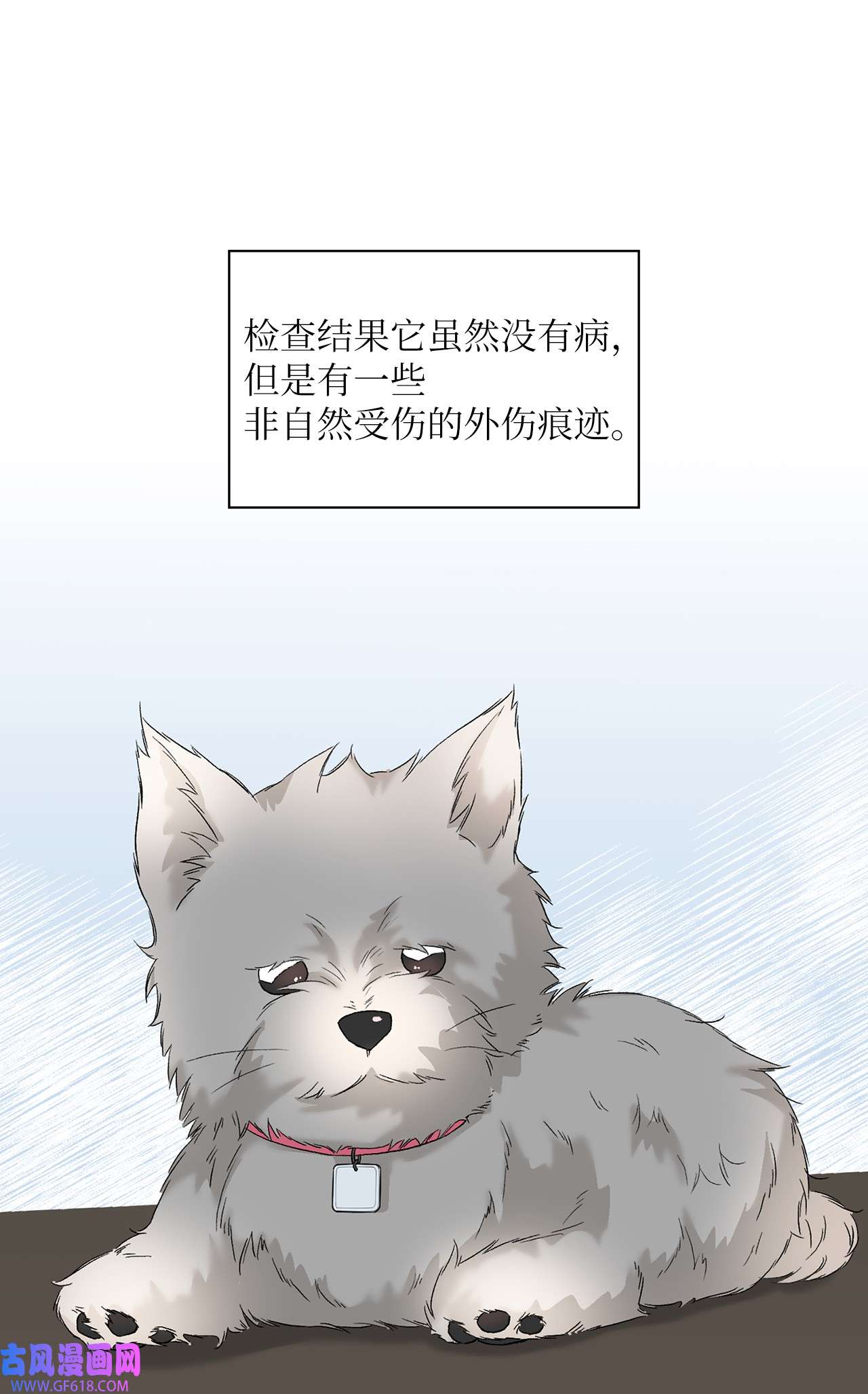 雨滴24 小灰灰出没