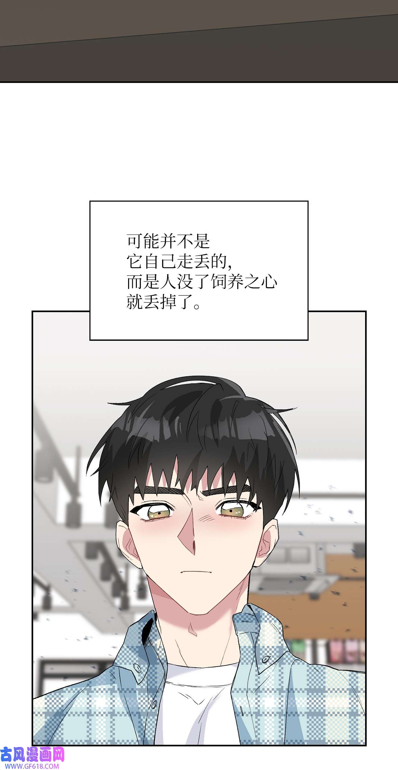 雨滴24 小灰灰出没