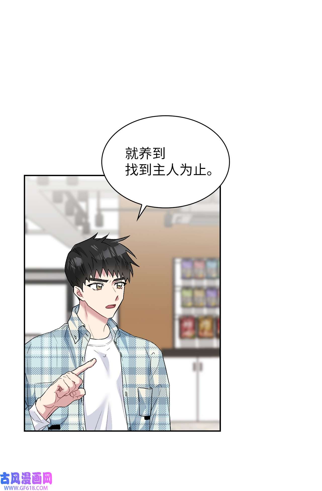 雨滴24 小灰灰出没