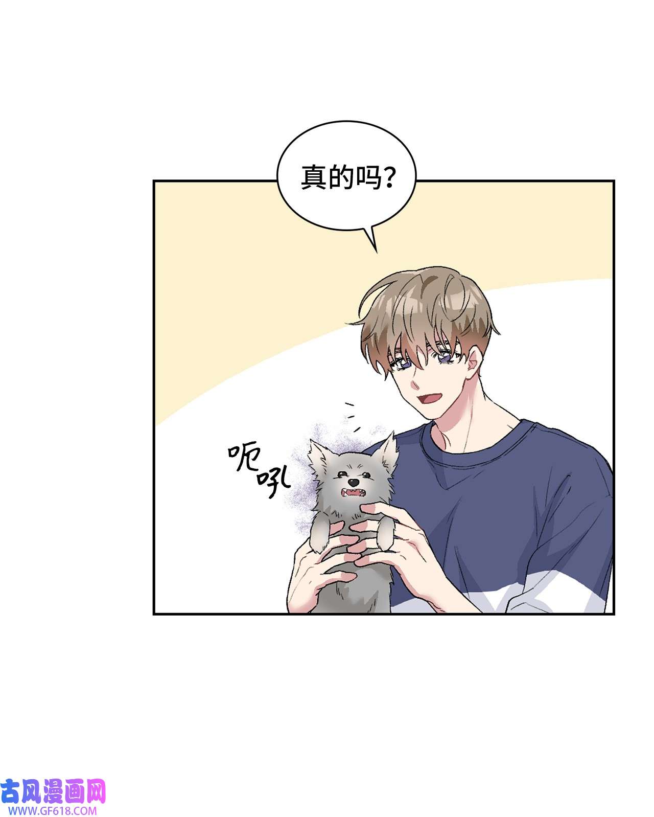 雨滴24 小灰灰出没