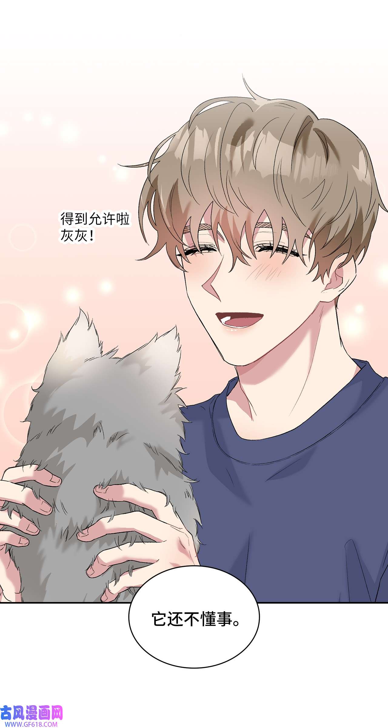 雨滴24 小灰灰出没