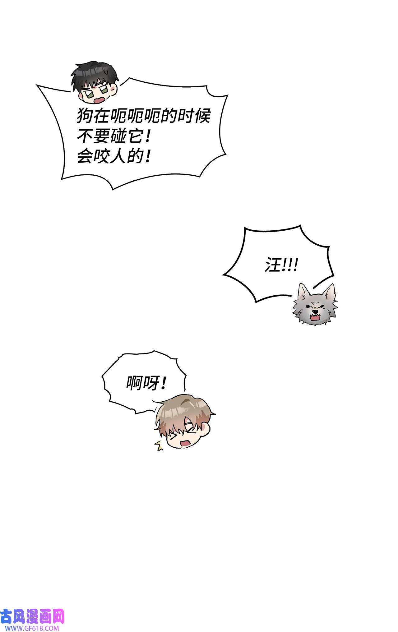 雨滴24 小灰灰出没