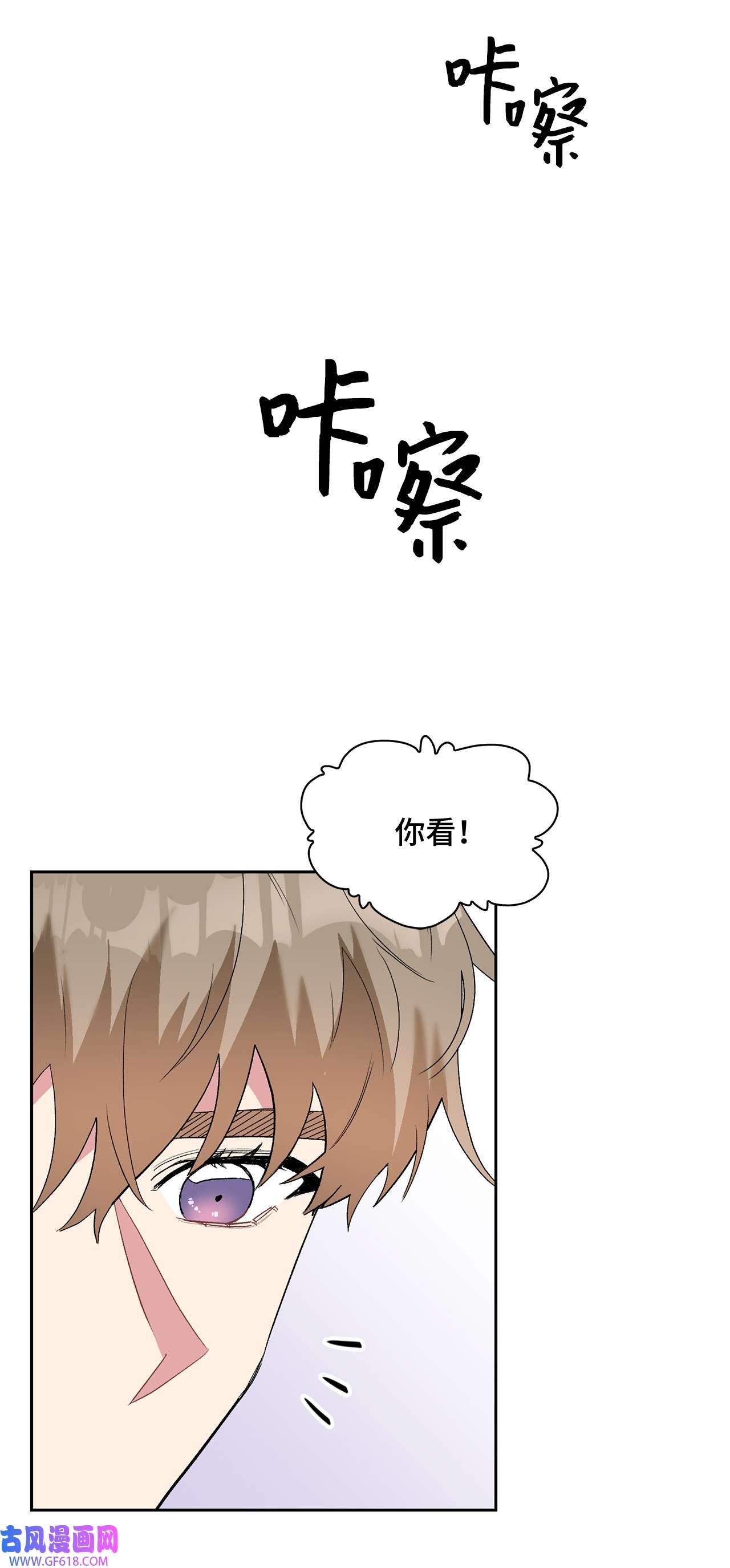 雨滴26 代言小灰灰