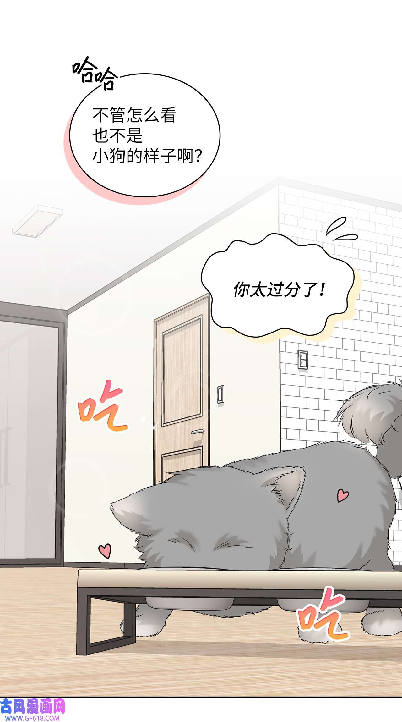 雨滴26 代言小灰灰