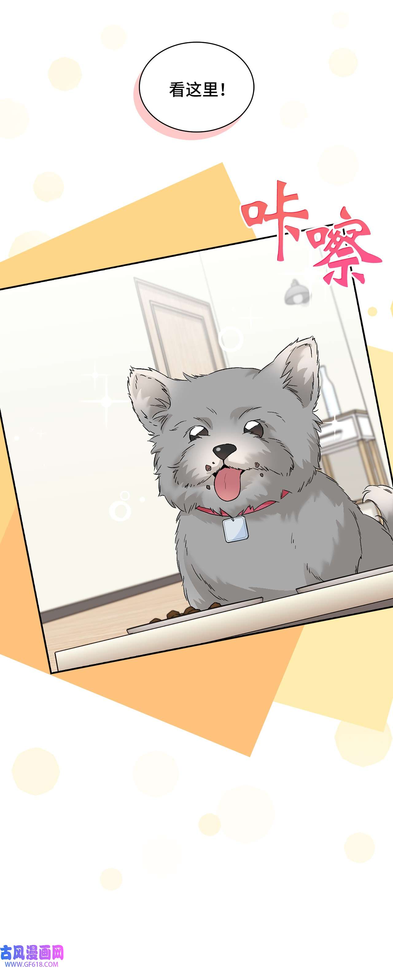 雨滴26 代言小灰灰