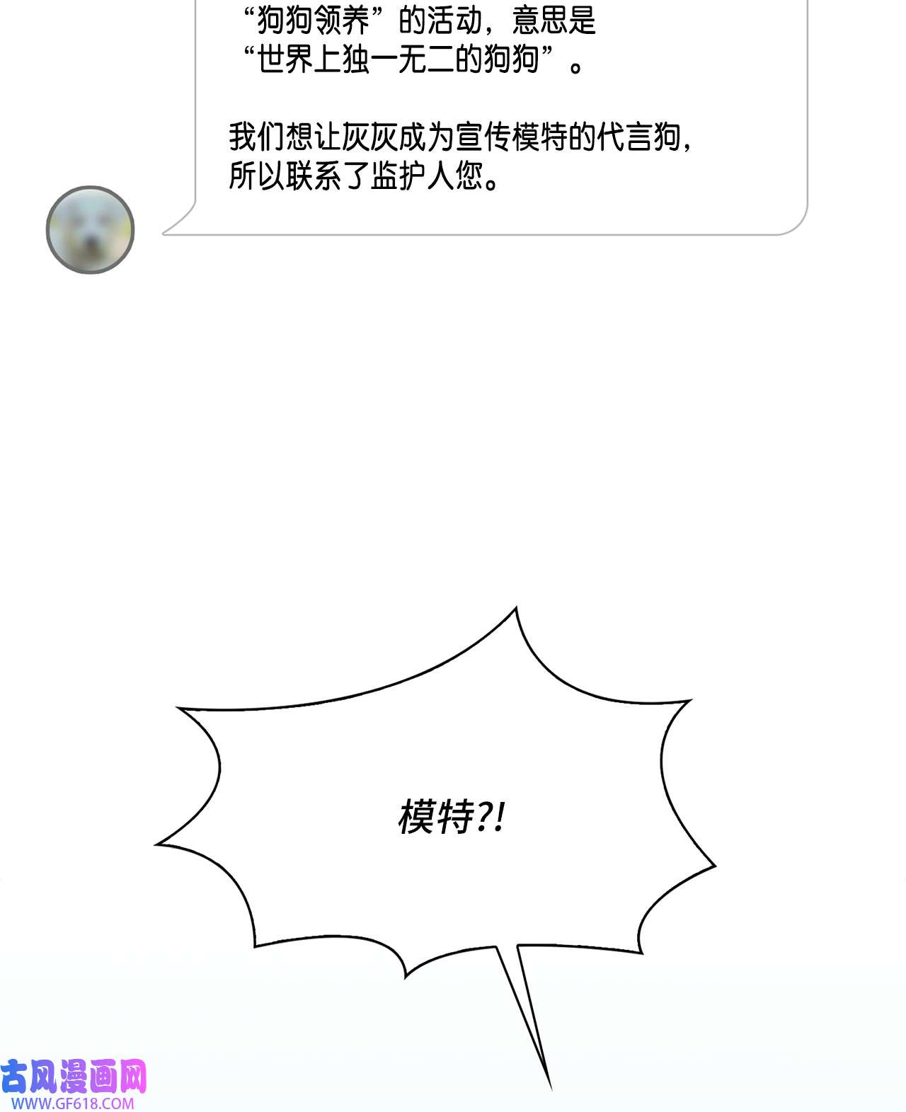 雨滴26 代言小灰灰