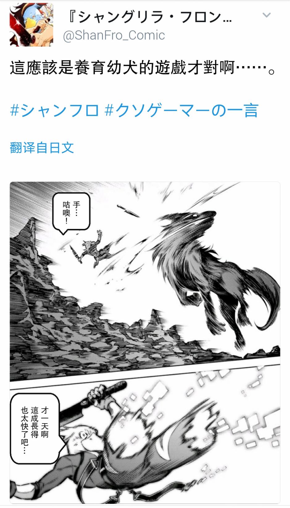 香格里拉·弗陇提亚~屎作猎人向神作发起挑战~屎作玩家的只言片语