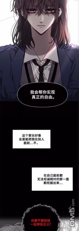 梦想自由第12话