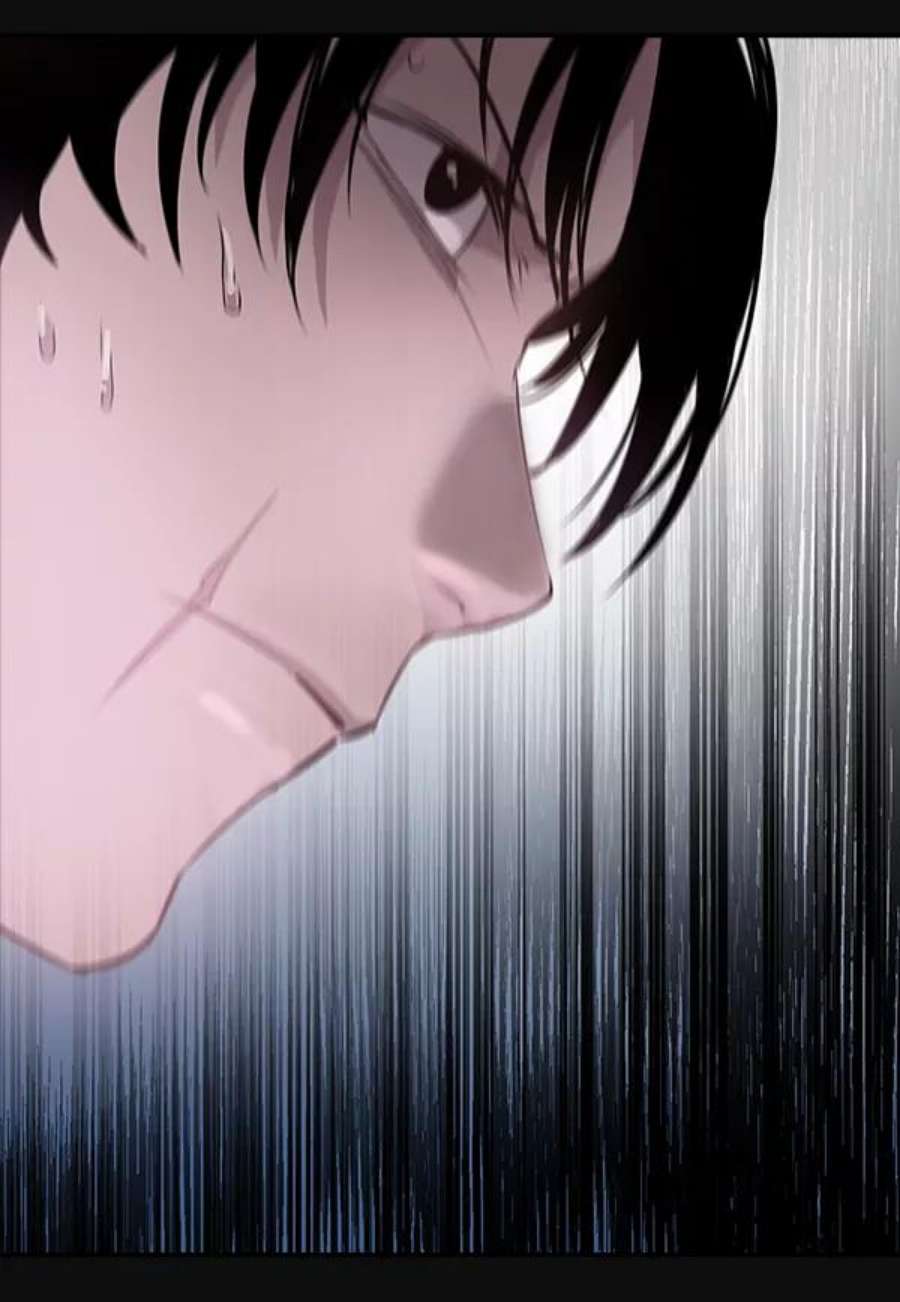 实力至上校园29话