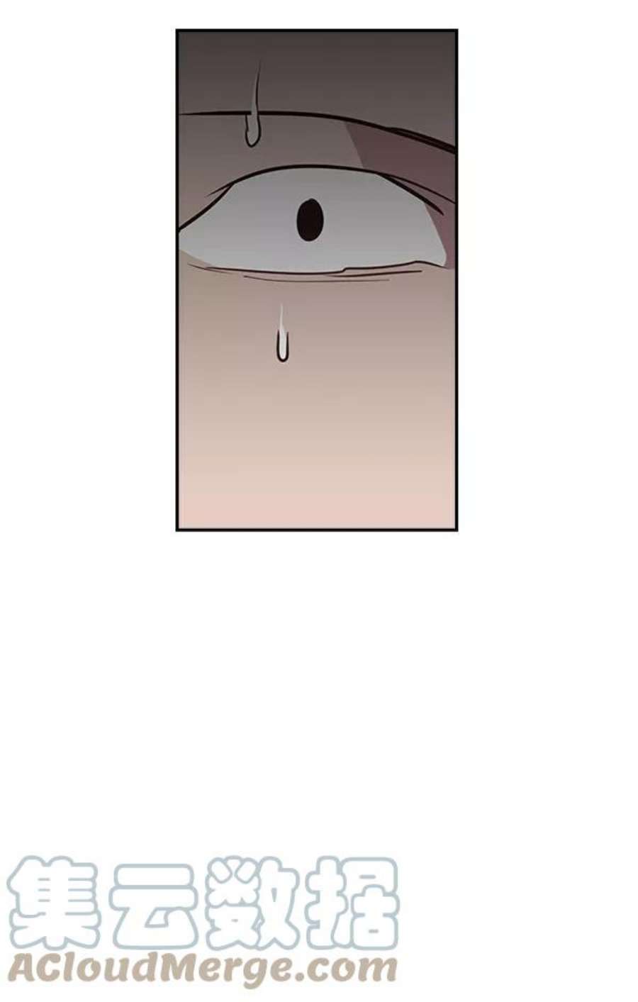 实力至上校园39话