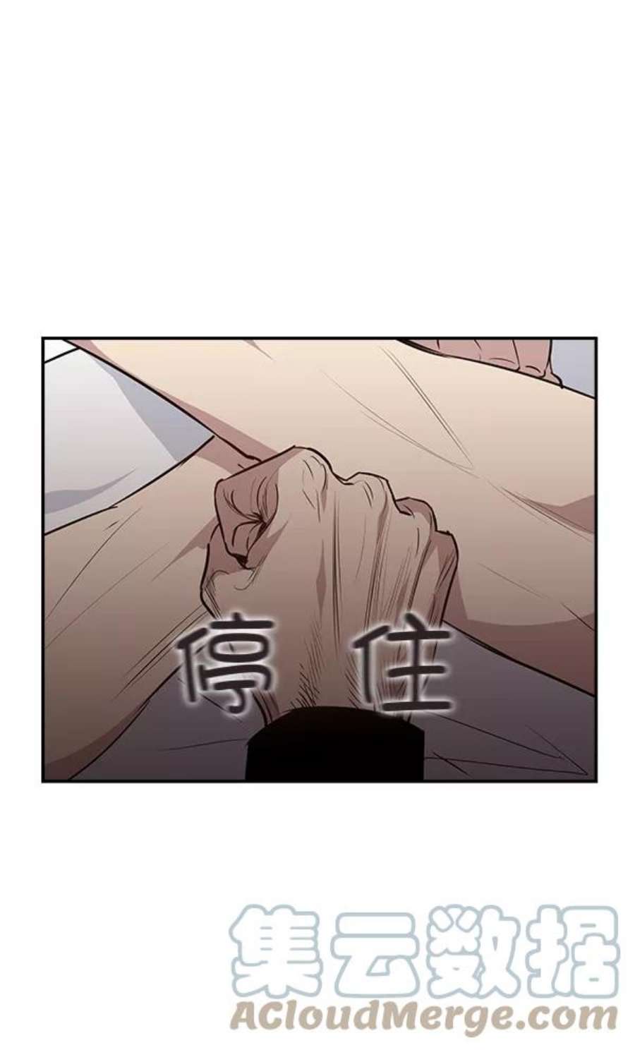 实力至上校园40话