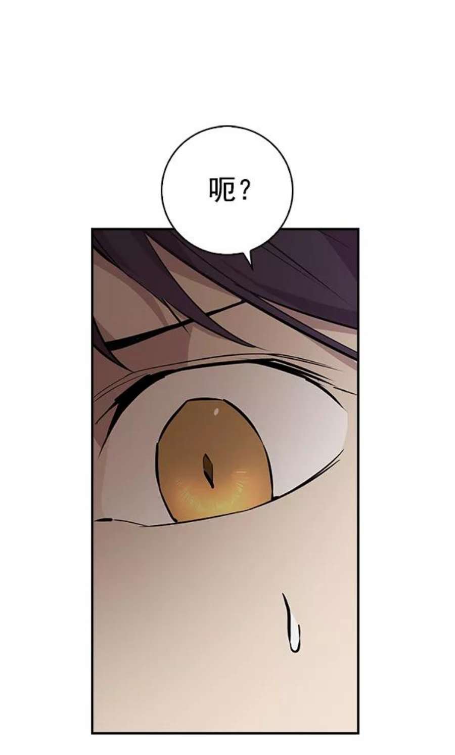 实力至上校园44话