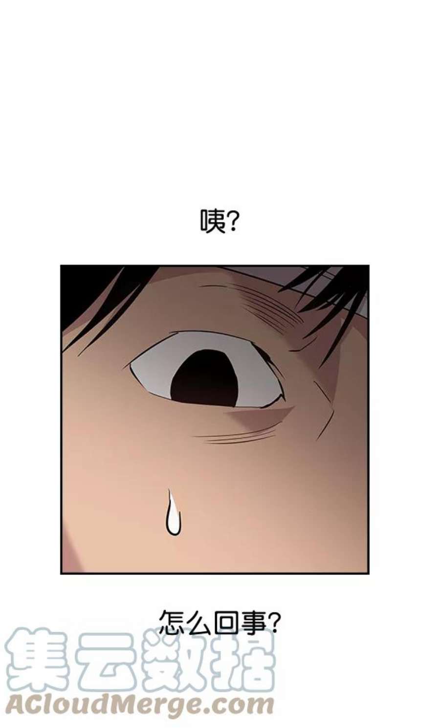 实力至上校园45话