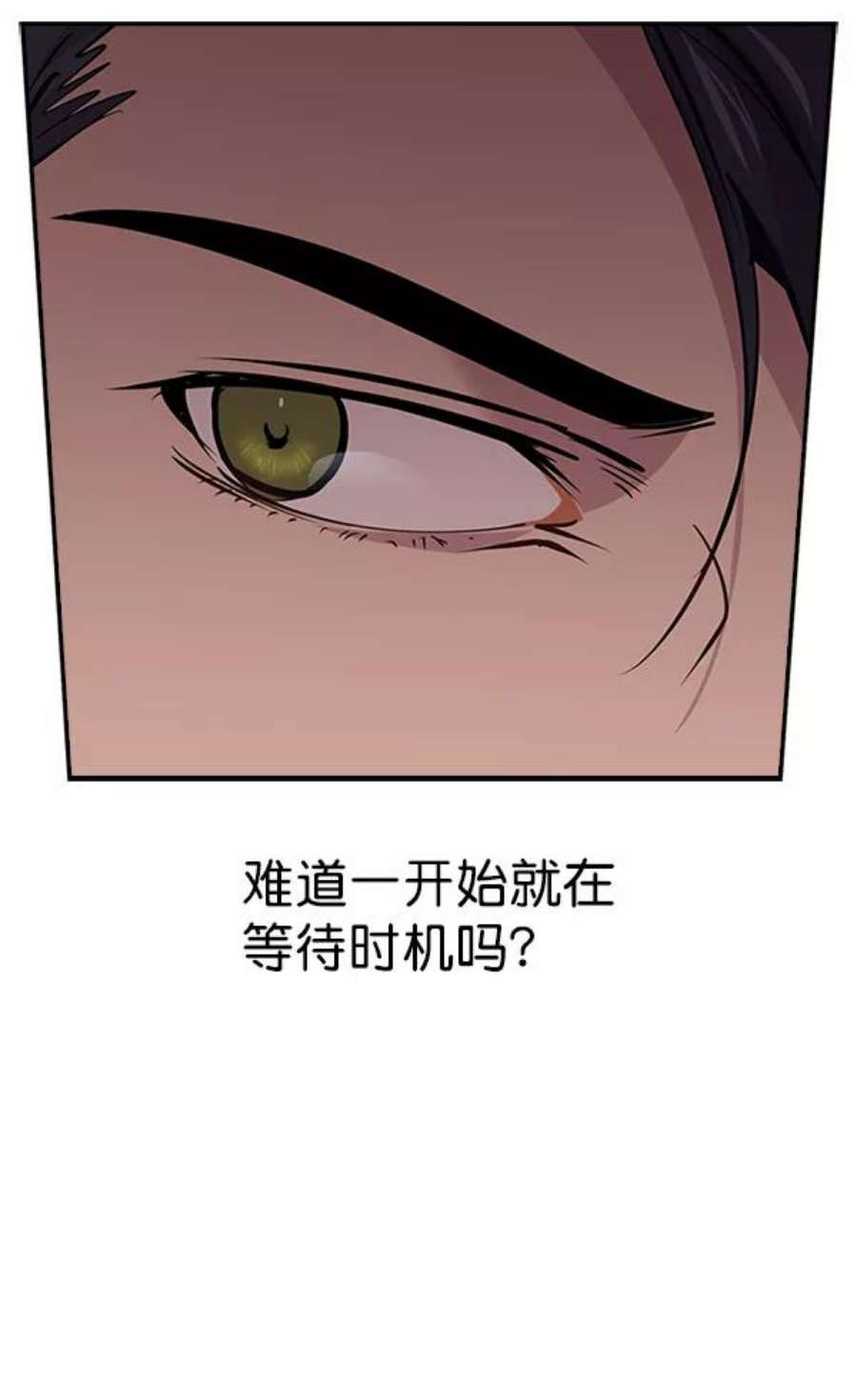 实力至上校园82话