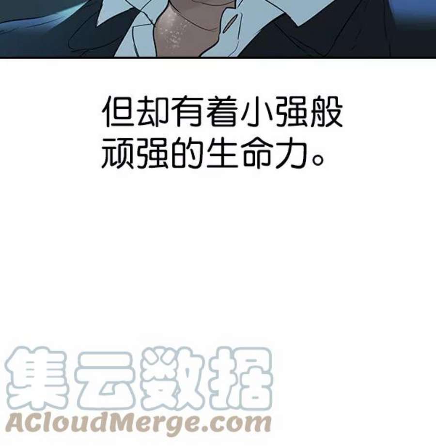 实力至上校园第二季 第17话