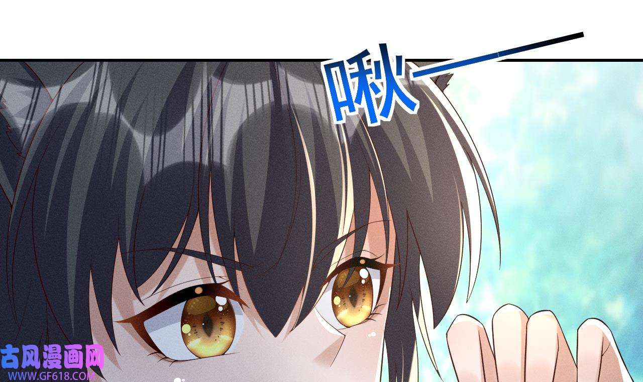 兽世夫君争宠成瘾3 第1话 抱晕小狼崽？！