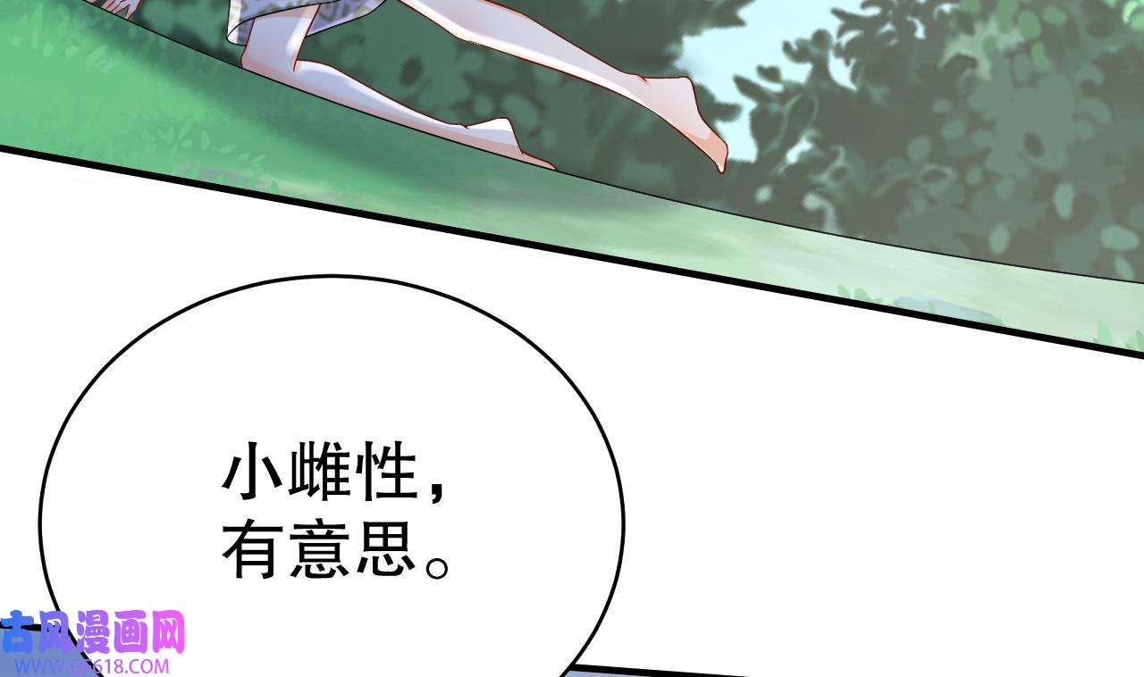 兽世夫君争宠成瘾33 第31话 是美女族长呀