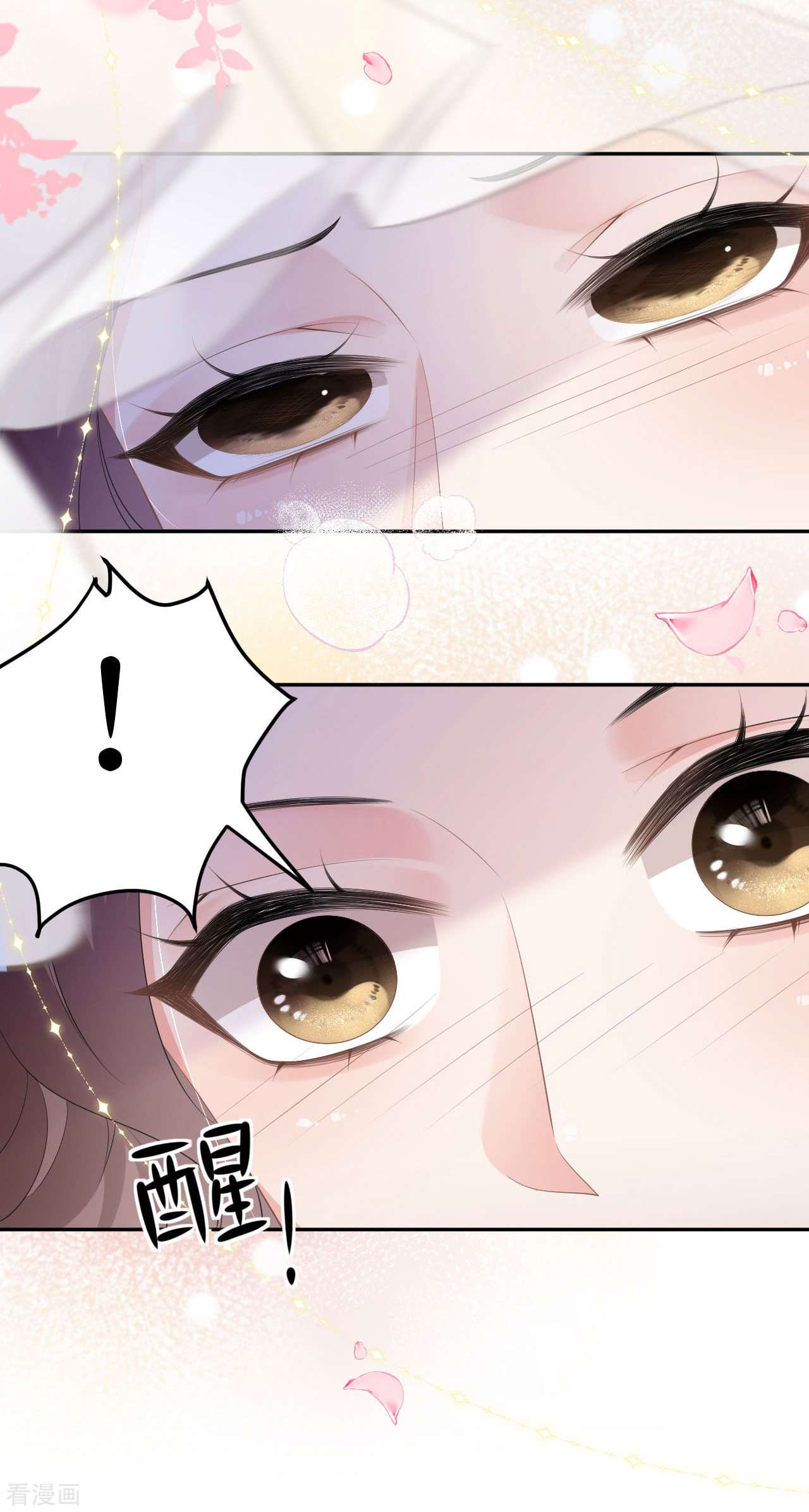 肆意燃烧的爱火9话
